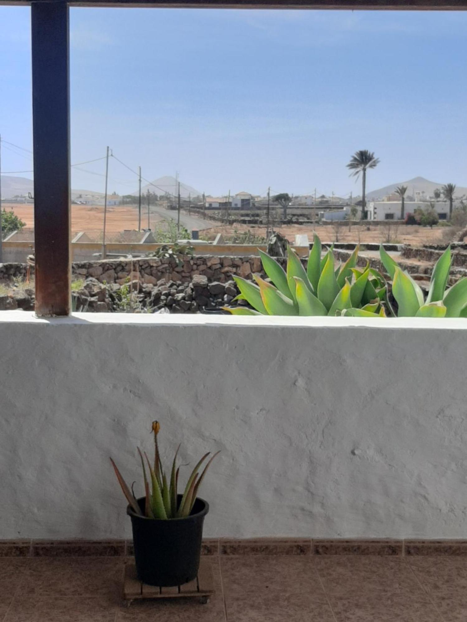 شقة Sunset Terrace لا أوليفا المظهر الخارجي الصورة